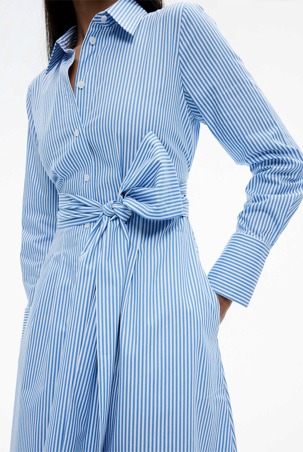 Stripe Sateen Shirt Dress