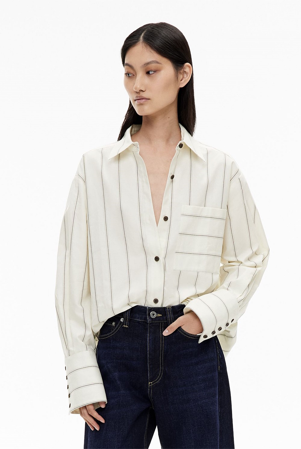 Stripe Cotton Oxford Shirt